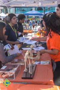 Students visiting and speaking with staff in orange t shirts at a Science, Engineering & Math booth.