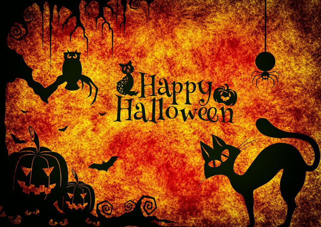 Happy Halloween graphic with orange background and black silhouette cat, owl, spider and pumpkin images.