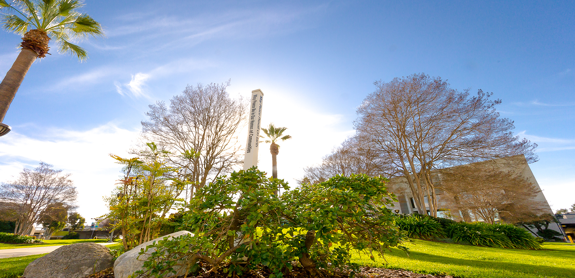 An Affirmation of our Cypress College Values